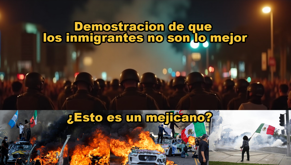 When Order Breaks Down The True Cost of Ignoring Immigration Laws