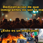 When Order Breaks Down The True Cost of Ignoring Immigration Laws