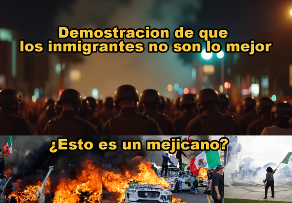 When Order Breaks Down The True Cost of Ignoring Immigration Laws